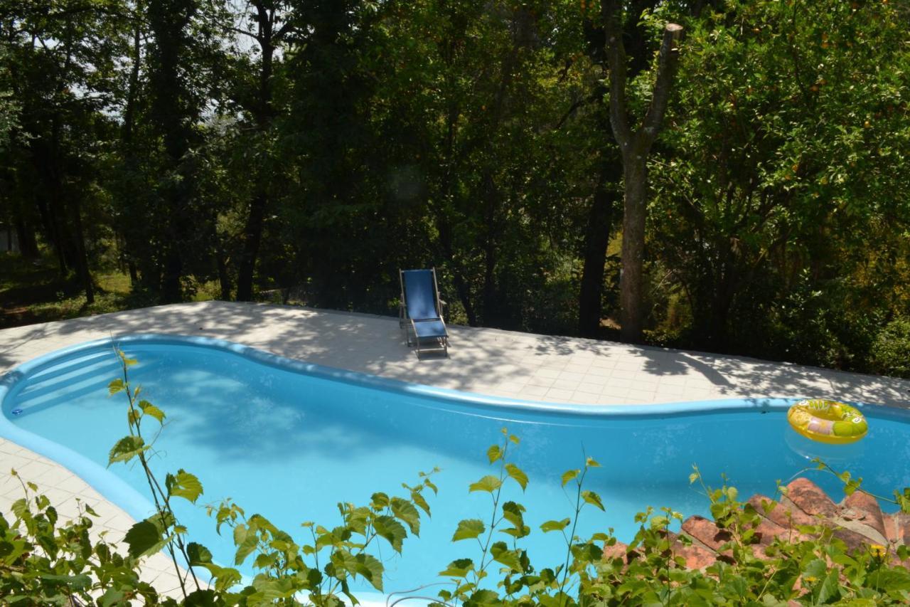 Quinta Abelha Villa Pico Bagian luar foto