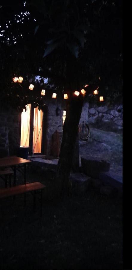 Quinta Abelha Villa Pico Bagian luar foto